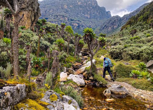 Rwenzori-Mountains-03_1600p