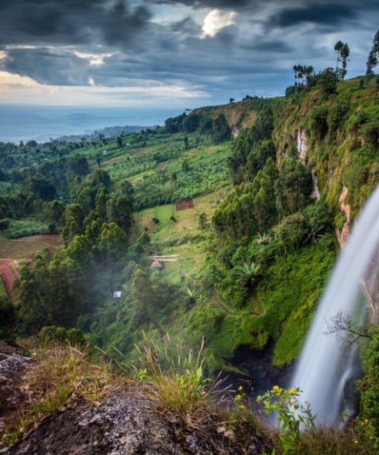 Discover Uganda: The Heart of Africa’s Wild Beauty