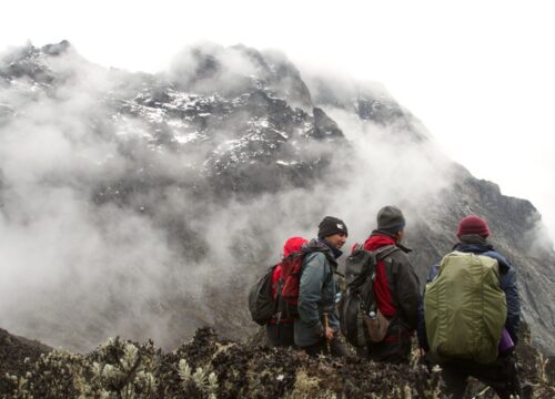hiking-rwenzori-2