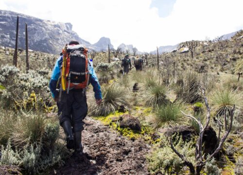 mountain-rwenzori-hike
