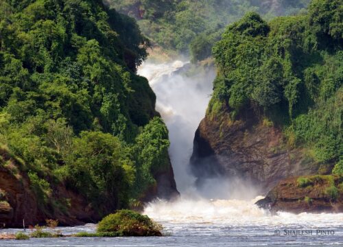 3 Days Murchison Falls National Park