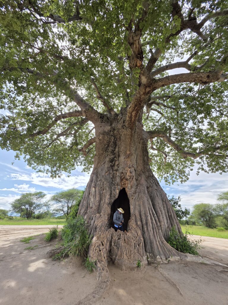 ronick tours and travel3