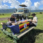 Ronick tours and travel